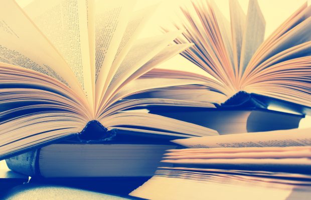 Friends of the Lynden Library Book Sale