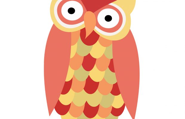 All About Owls – Lynden Library