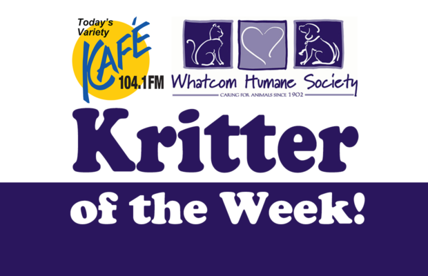 KAFE Kritters: Amber, the rescued pup!
