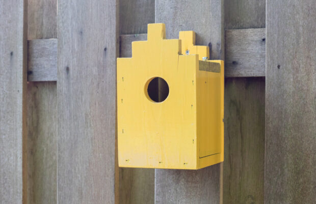 Whatcom Humane Society Birdhouse Auction