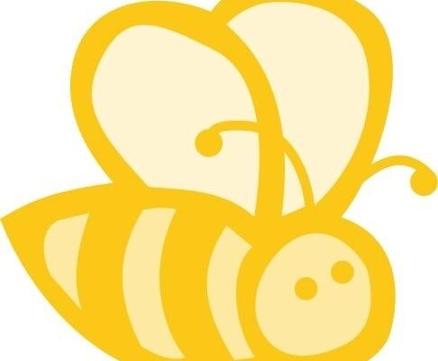 Whatcom Literacy Council Trivia Bee