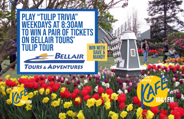 Win Tickets Aboard the Tulip Tour