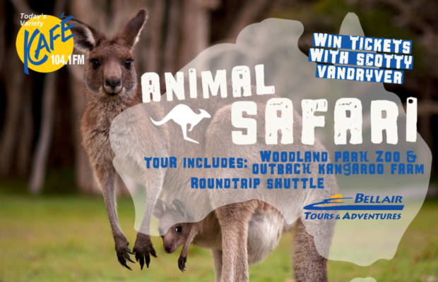 Score Tickets Aboard Bellair Tours Animal Safari