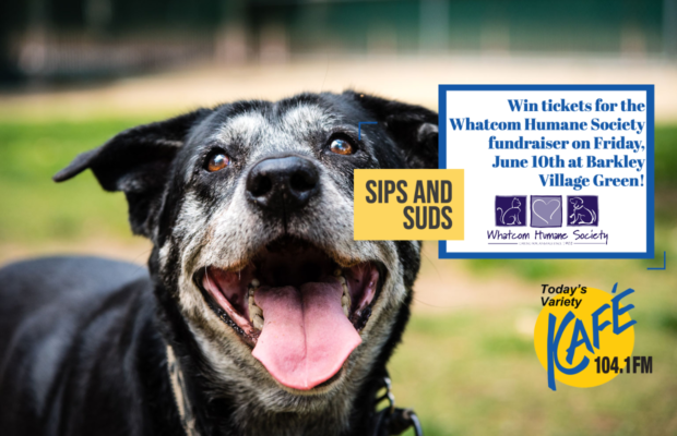 Whatcom Humane Society Sips & Suds