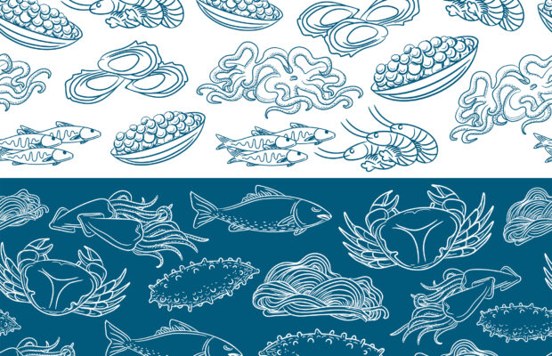 Bellingham Seafest Bellingham Seafest