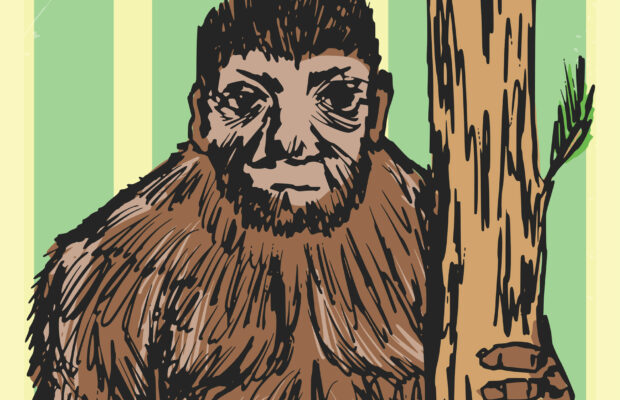 Bigfoot Festival at Maple Falls Park Bigfoot Festival at Maple Falls Park