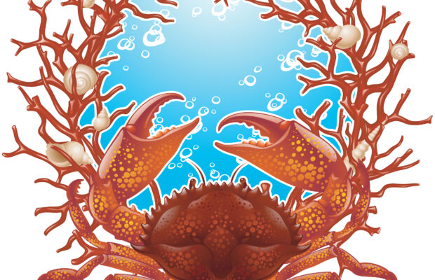 Discover Birch Bay Days