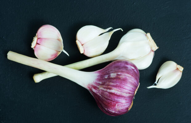Grow Your Own Garlic!