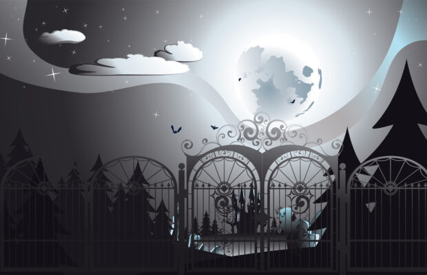 Mystery in the Park Mystery in the Park