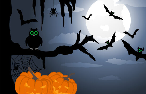 Whatcom Frightmare Haunted House