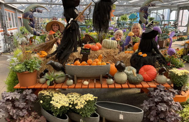 Decorating for Fall