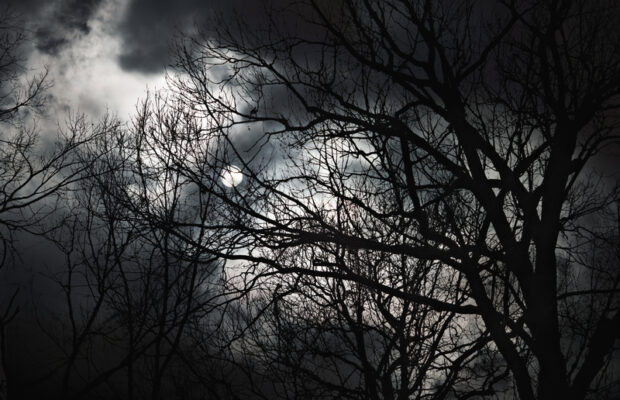 Stalker Farm’s Presents “SLASHER FAMILY HOMESTEAD” Haunted House