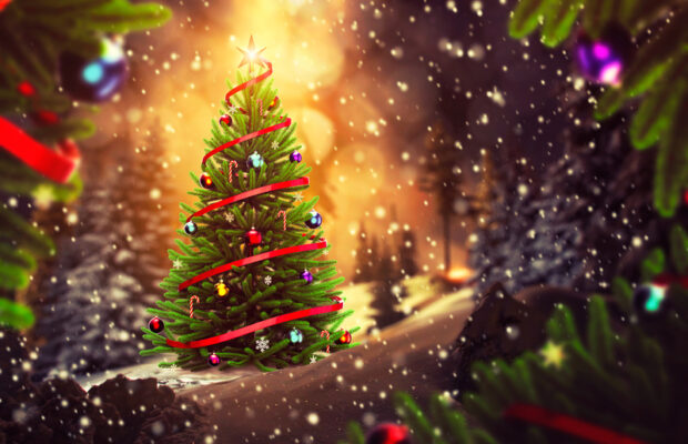 Ferndale Community Tree Lighting Ferndale Community Tree Lighting