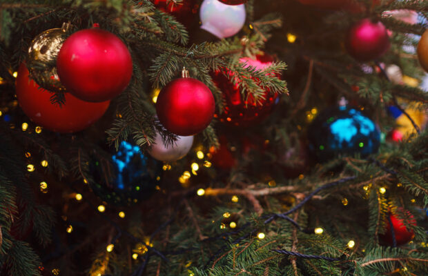 37th Annual Festival of Trees