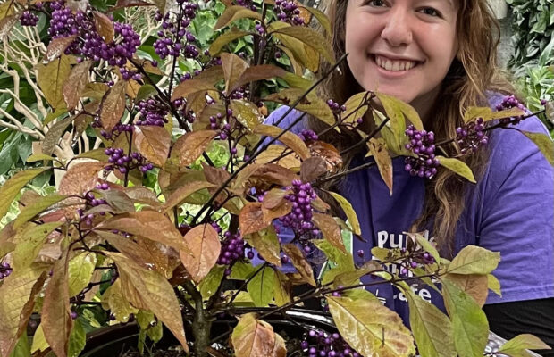 Have a Little More Purple in Your Garden!