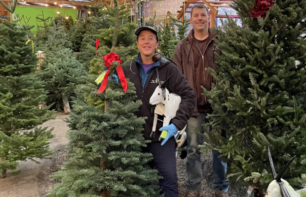 It’s CHRISTMAS TREE Time!