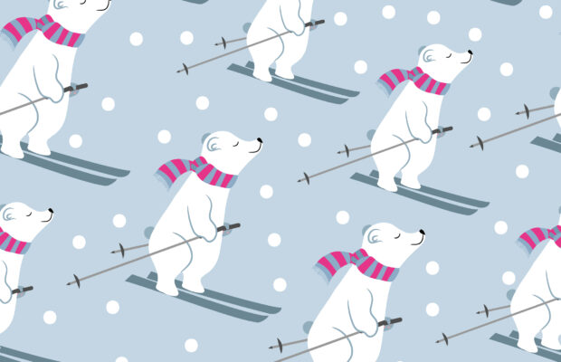 Anacortes Polar Plunge