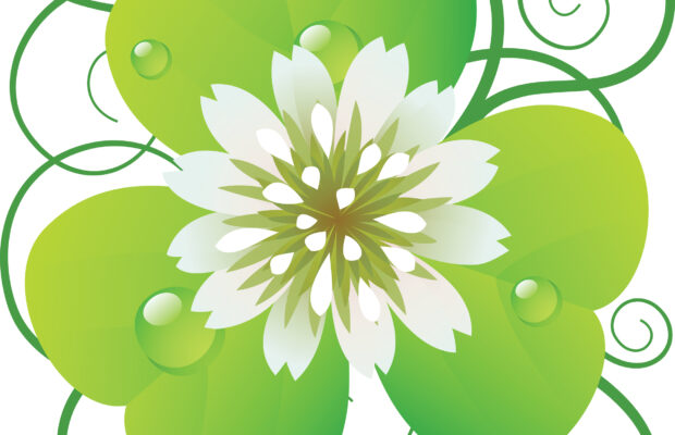 Runnin’ O’ the Green 5K & 8K Runnin’ O’ the Green 5K & 8K