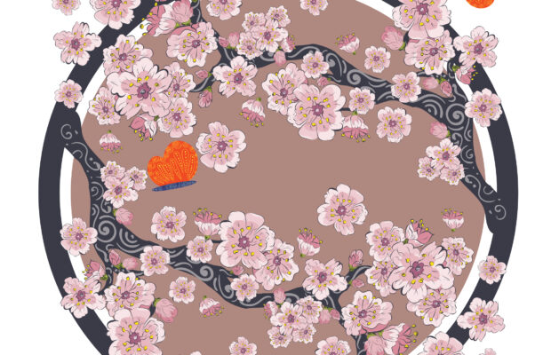 Ferndale Cherry Blossom Festival