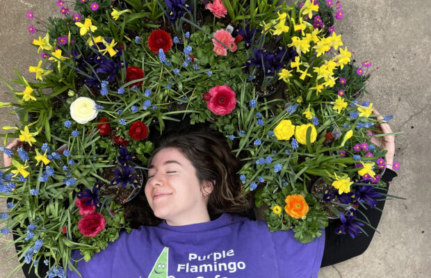GREEN THUMB THURSDAY: Violets
