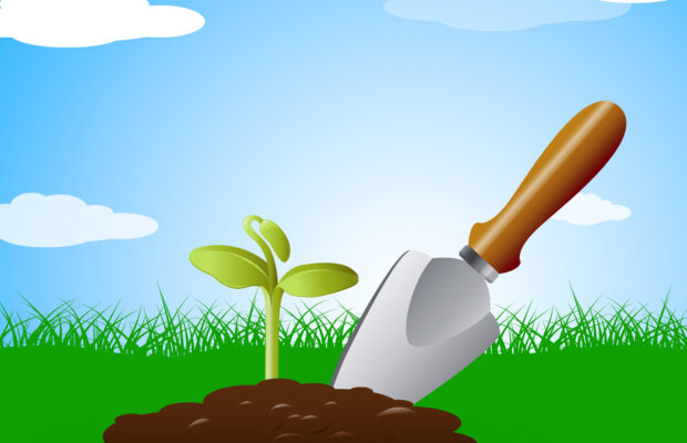 Birchwood Garden Club January Meeting