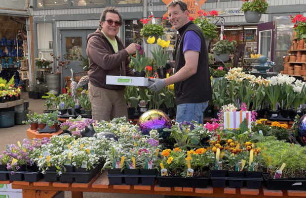 GREEN THUMB THURSDAY: What Type of Gardening Do YOU Do?