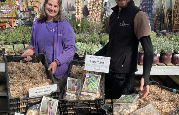 GREEN THUMB THURSDAY: Veggies for Years!