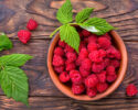 Northwest Raspberry Festival