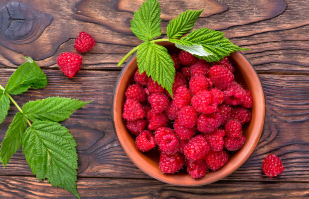 Northwest Raspberry Festival Northwest Raspberry Festival