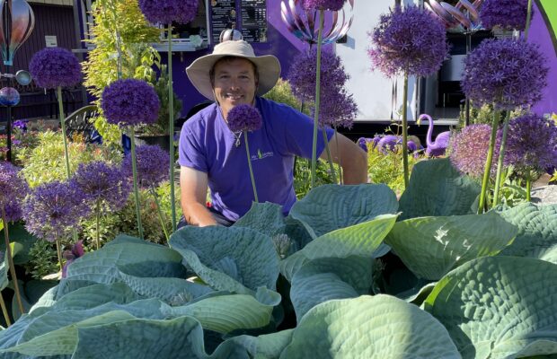 GREEN THUMB THURSDAY: Hostas & Hummingbirds…But NO Slugs