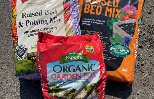 GREEN THUMB THURSDAY: Does Soil REALLY Matter?