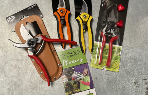GREEN THUMB THURSDAY: Tips for Easy Pruning!
