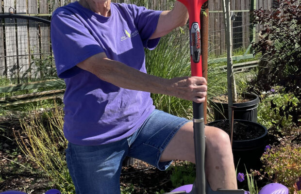 GREEN THUMB THURSDAY: The Rootslayer!