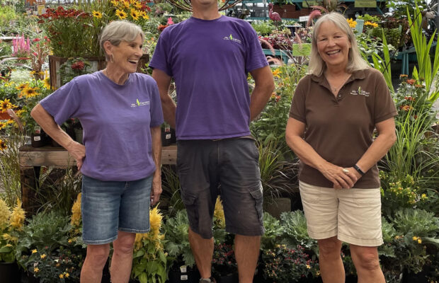 GREEN THUMB THURSDAY: A KAFE This Morning Poem