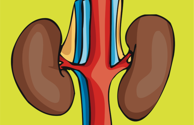 Living Kidney Donor Event Living Kidney Donor Event