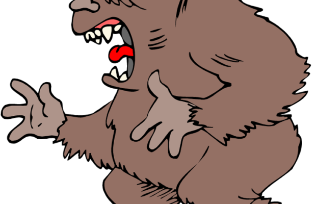 Skagit BigFoot Fest