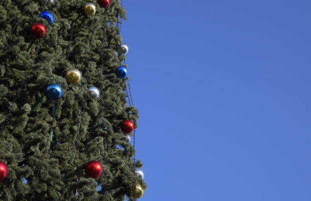 Ferndale Cub Scout Troop 4026 Christmas Tree Pickup Ferndale Cub Scout Troop 4026 Christmas Tree Pickup