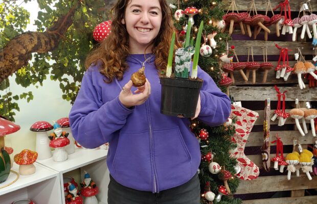 GREEN THUMB THURSDAY: It’s Paperwhites Time