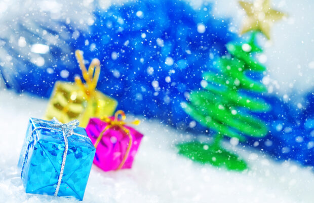 Holiday Makers Market for Whatcom Humane Society