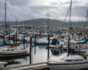 Bellingham Dockside Market