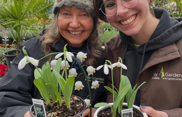 GREEN THUMB THURSDAY:  What Are Snowdrops? (Not Snowflakes)