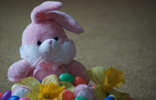 La Conner Fire Fighters Egg Hunt