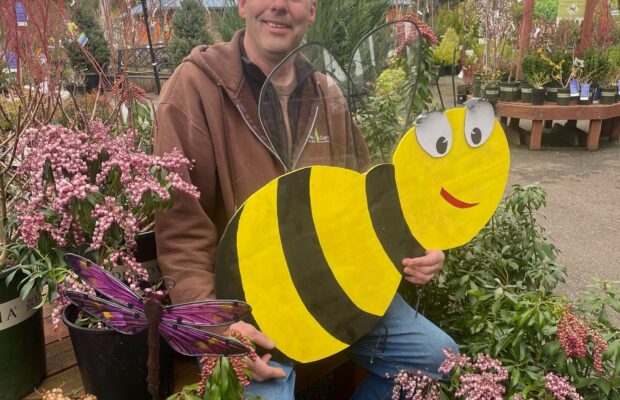 GREEN THUMB THURSDAY: A Healthy, Vibrant Garden with Pollinators