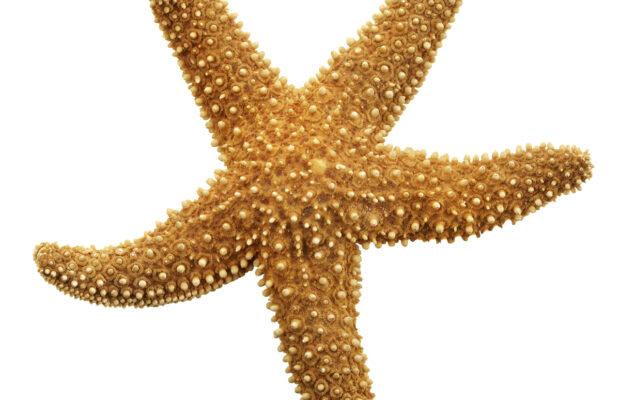Marine Life Center