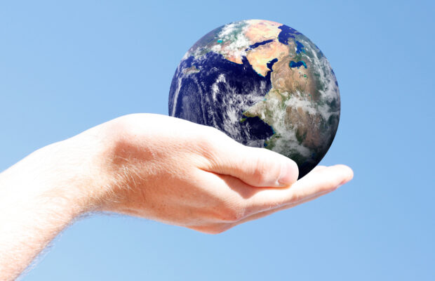 Allied Arts RARE Gallery Exhibition