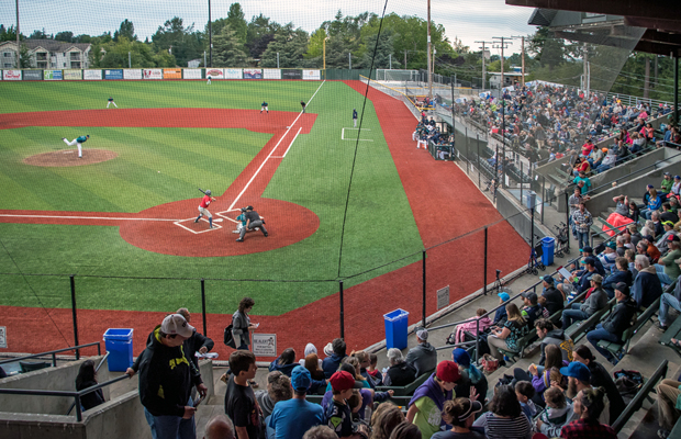 Bellingham Bells Baseball