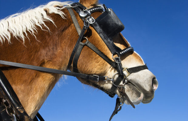 82nd Annual International Plowing Match