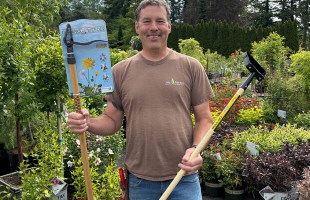 GREEN THUMB THURSDAY: