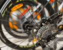 Chuckanut Classic 2025