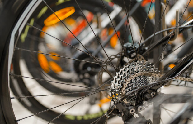 Chuckanut Classic 2025